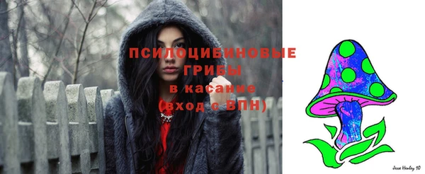 спиды Инта