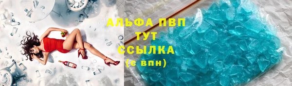 спиды Инта