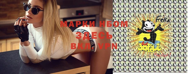 спиды Инта