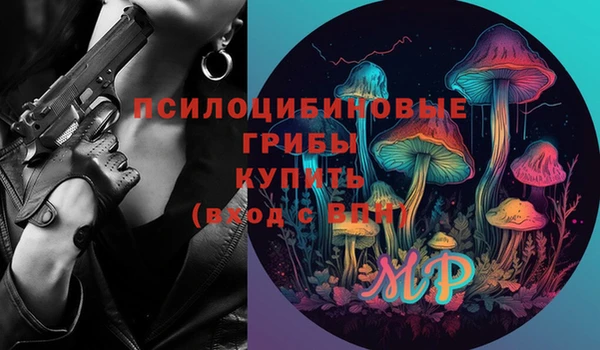спиды Инта