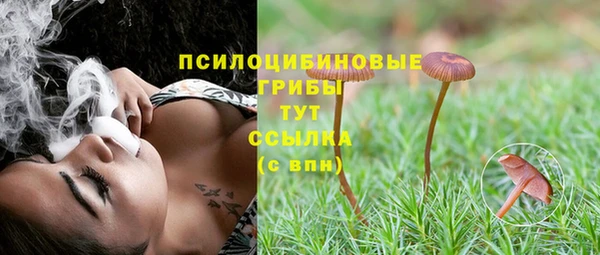 прущий лед Иннополис