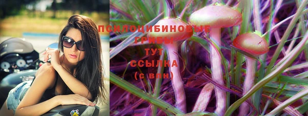 спиды Инта