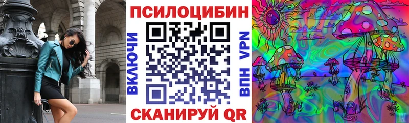 Купить  Губаха  Галлюциногенные грибы Magic Shrooms 